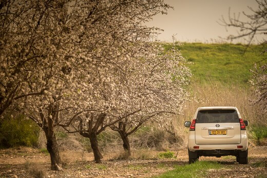 טויוטה לנד קרוזר טויוטה לנד קרוזר
